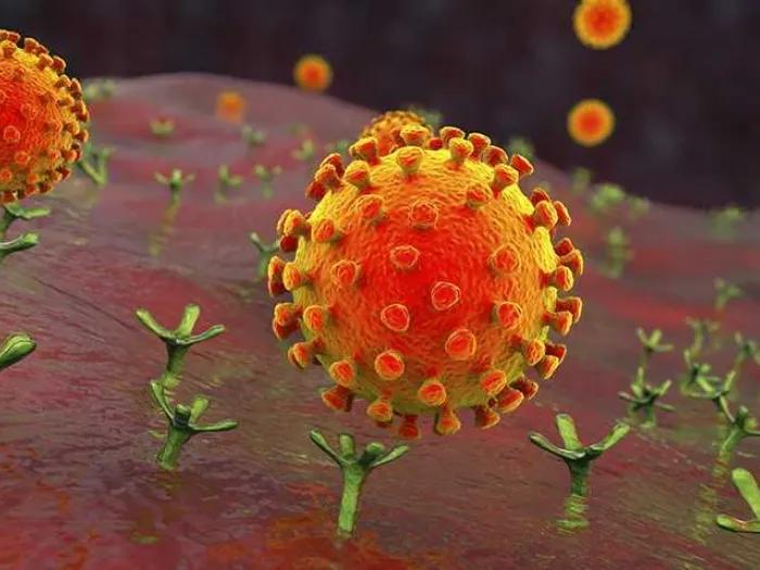 red orange cells floating