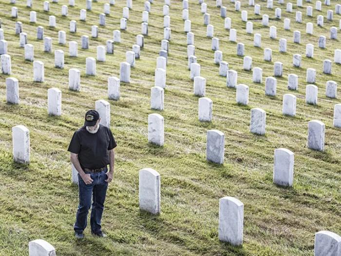 Vet in cemetery 