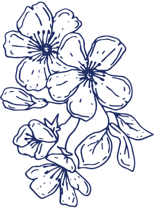 sketched drawing of flowers