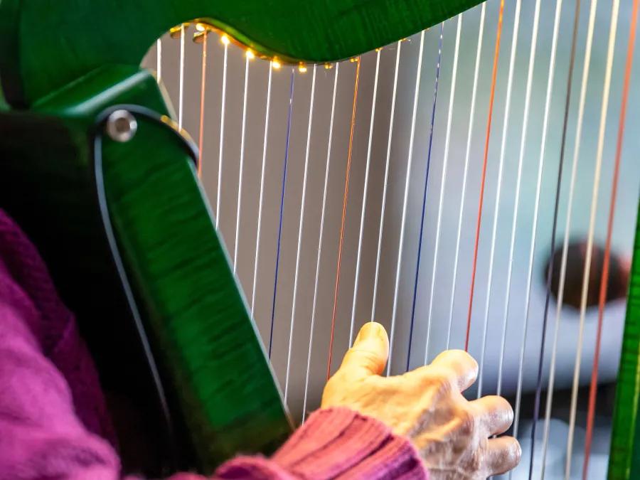 Harp Player close-up