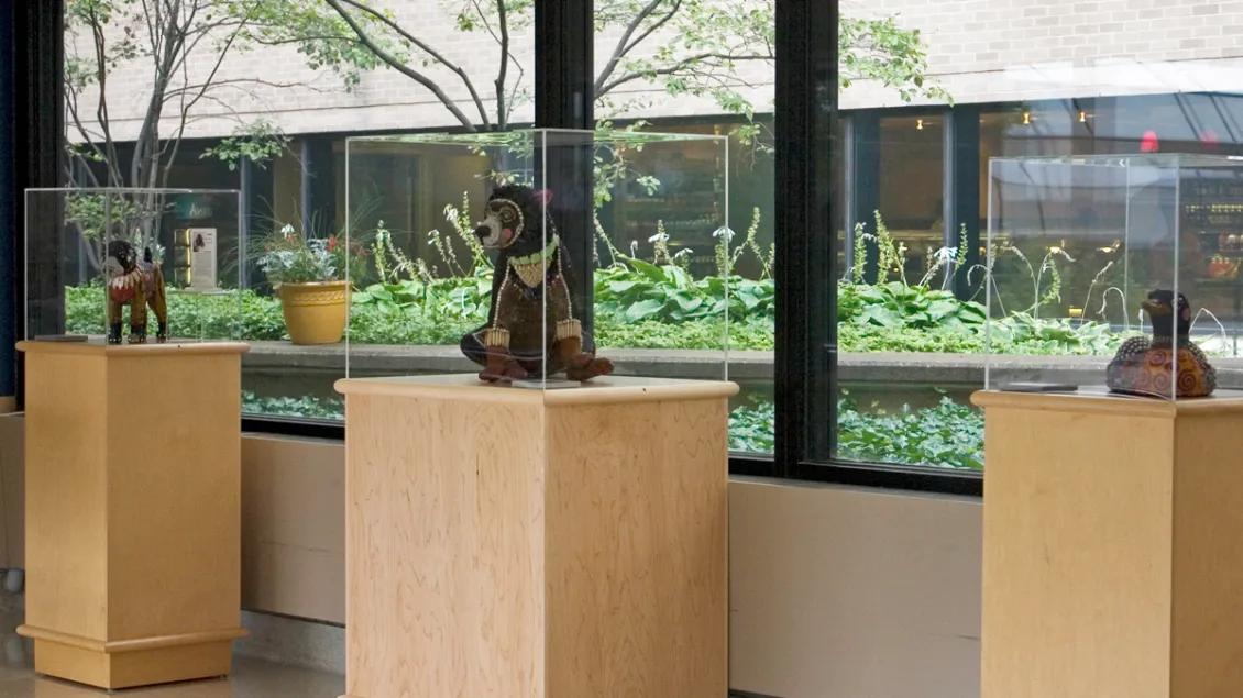 art collection displayed on glass wooden cases 