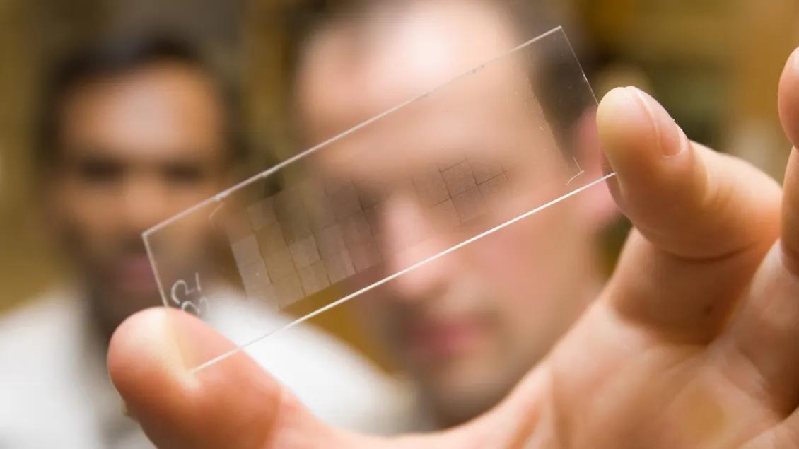 Up close look at a slide that Dr. Tomlins is holding. Slide contains tiny translucent squares. 