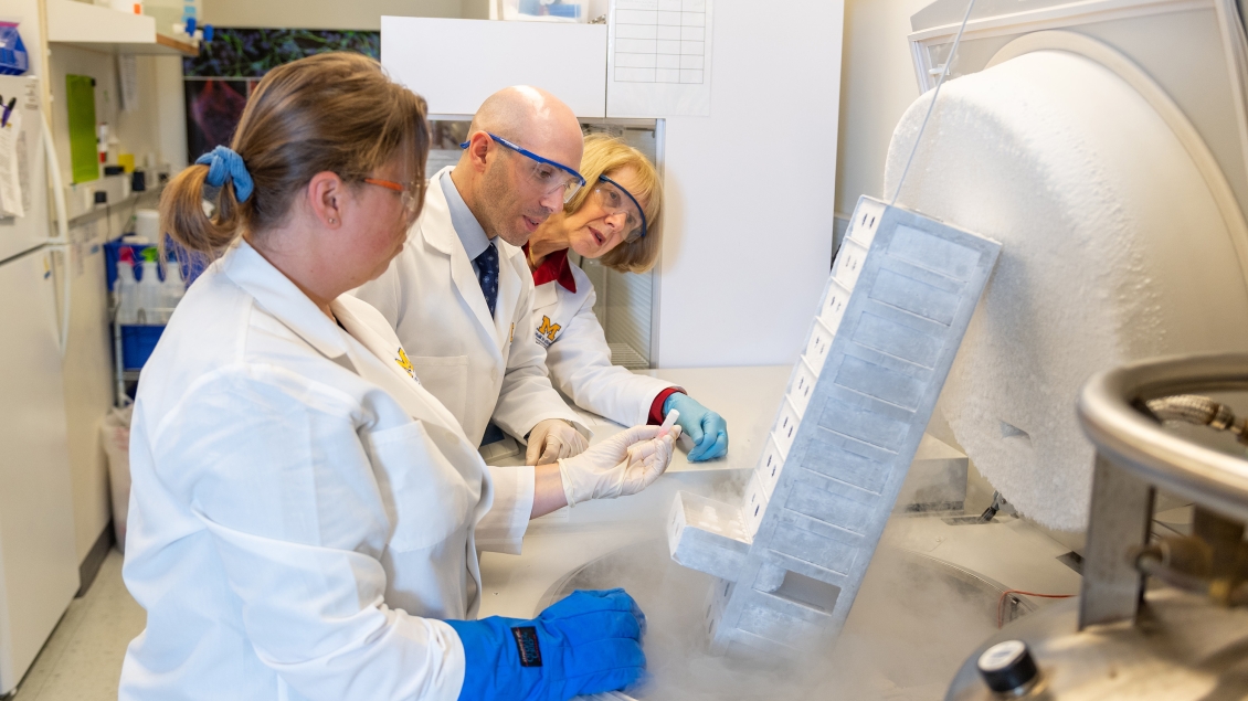 Neurology researchers examining samples