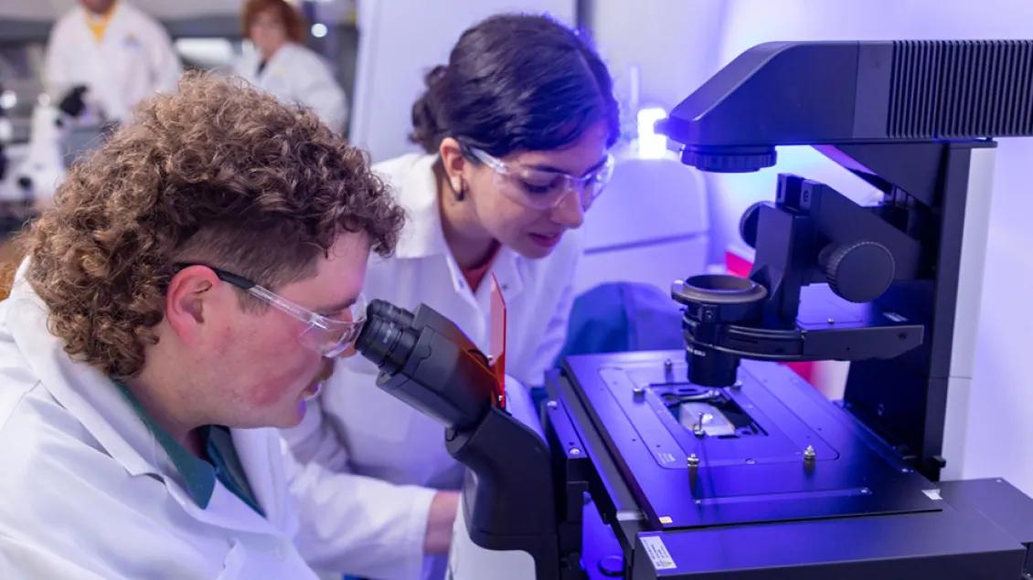 Two pharmacology students working in a lab. One is looking into a microscope and the other is looking towards the specimen.