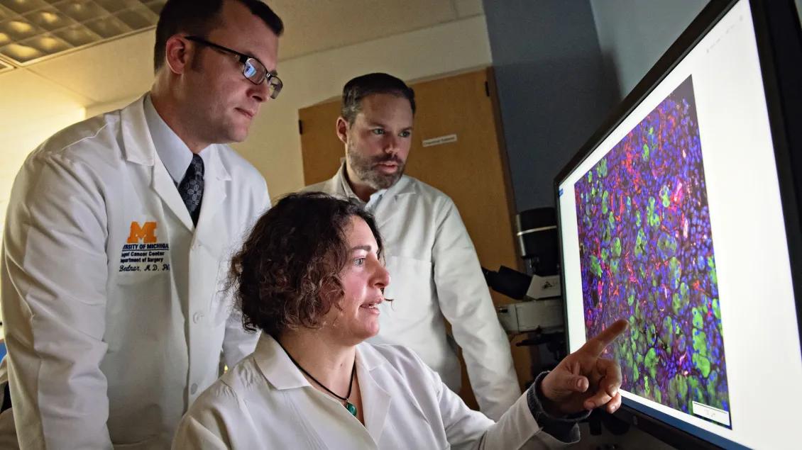 Pancreatic cancer researchers in the section of general surgery examine a close-up image of cells on a monitor.