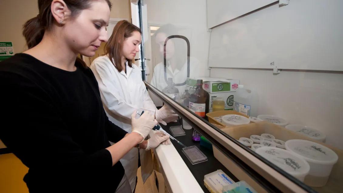 Two scientists work together in a vascular surgery laboratory.