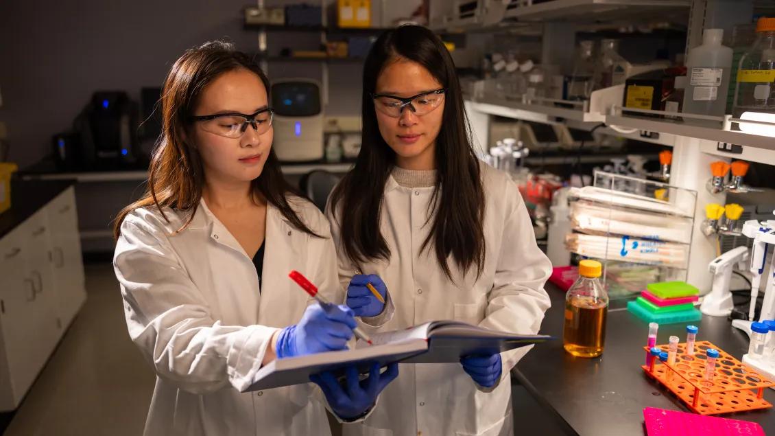 Two people in a research laboratory review notes and samples while wearing lab coats, safety glasses, and gloves.