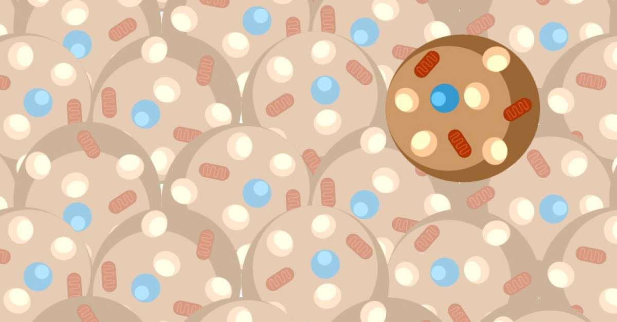 Unlocking the Secrets of Brown Fat