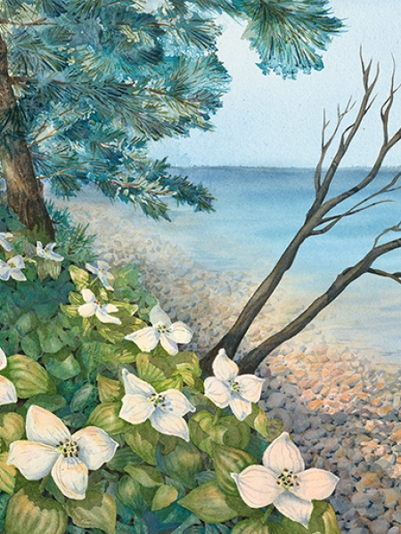 Gould painting of flowers along the lakeshore