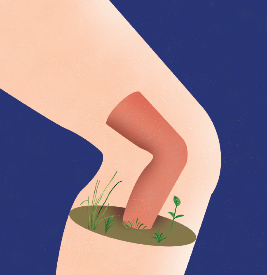 Illustration of a small knee growing inside another knee. The small knee is surrounded by tiny plants to indicate growth 