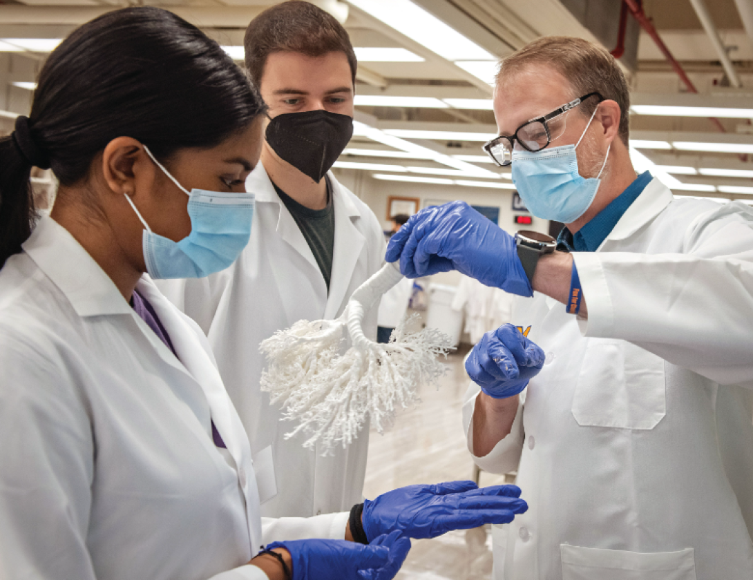 An anatomy professor wearing mask, gloves, and white coat holds placticized lung vasculature and points out details to two medical students who are also wearing masks, gloves, and white coats.