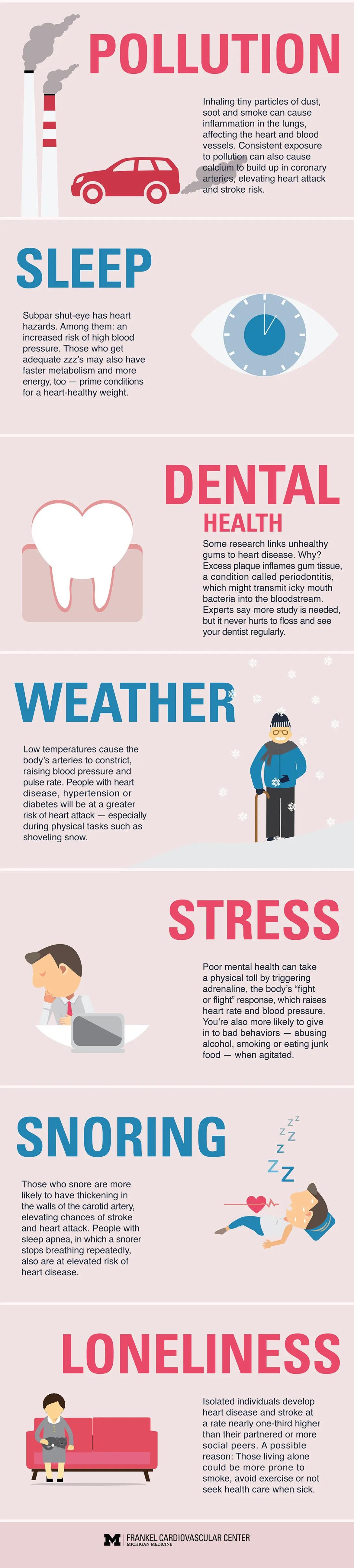 Consider these factors to help evaluate your heart healt risk: Pollution, dental, weather, stress, snoring and loneliness