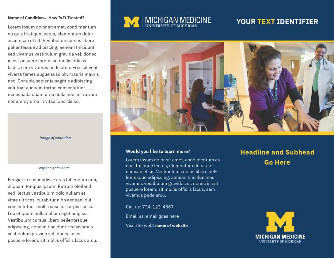 Brochure Trifold 1