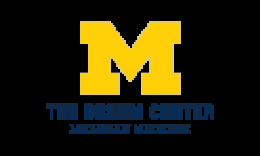 Maize block M with The Brehm Center, Michigan Medicine beneath