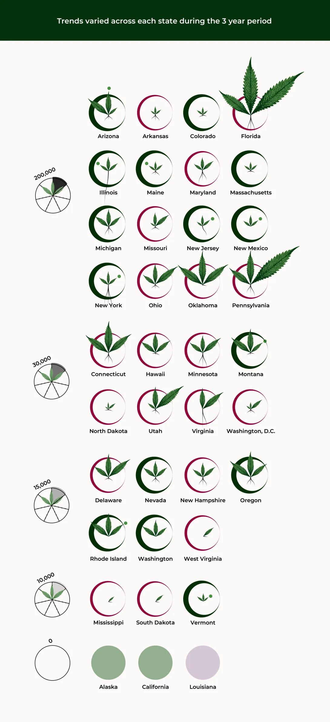 Small multiples of the same leaf and root visualization as first image showing state-level data, with groups of four different scales (10,000, 15,000, 30,000 and 200,000) to accommodate for disparate data values. The state-level root scale is from 0 to 5,300. Text reads, “Trends varied across each state during the 3 year period.”