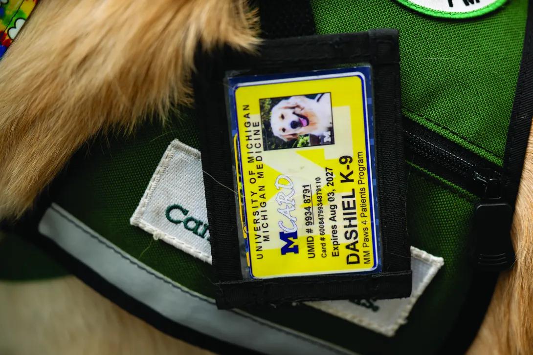 Close up of a hospital ID card for one of the hospital dogs, golden retriever "Dashiel."