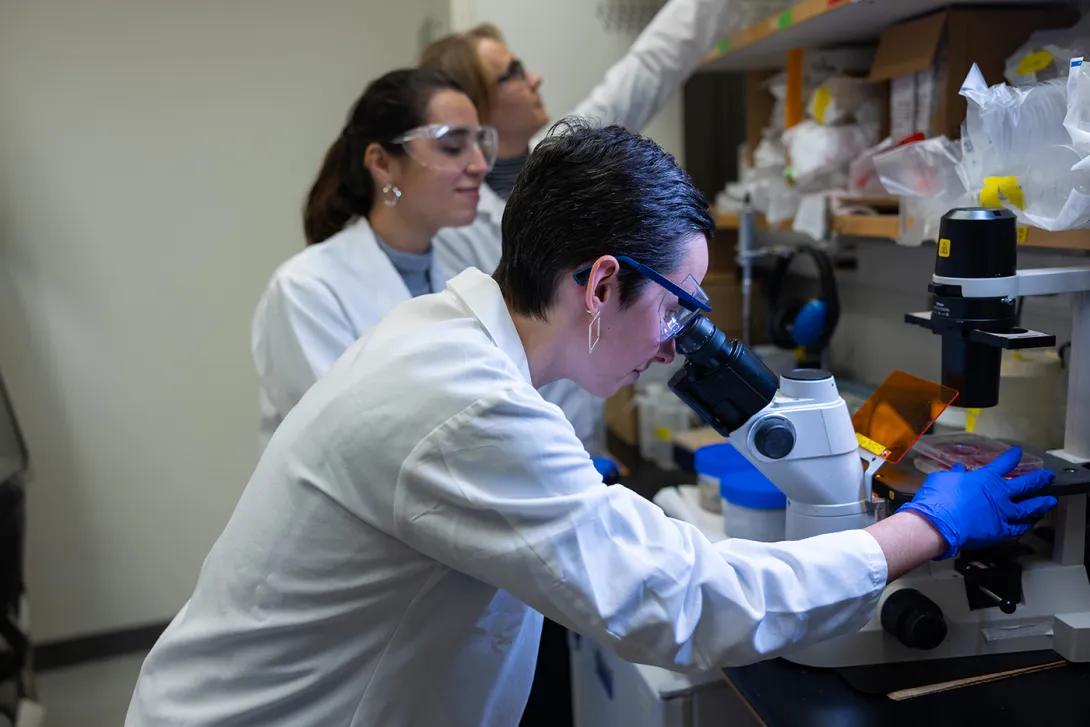 Trainees in the lab of Gary Hammer, M.D., Ph.D., using a microscope and other lab equipment.