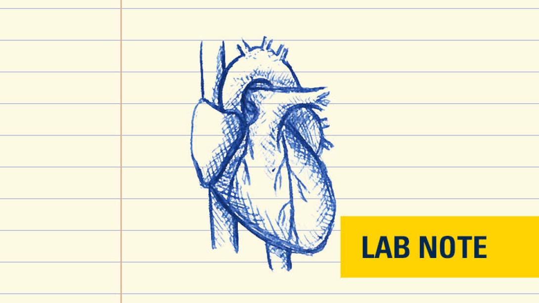 drawing in blue ink on notepad of a heart with lab note written bottom right in yellow and blue